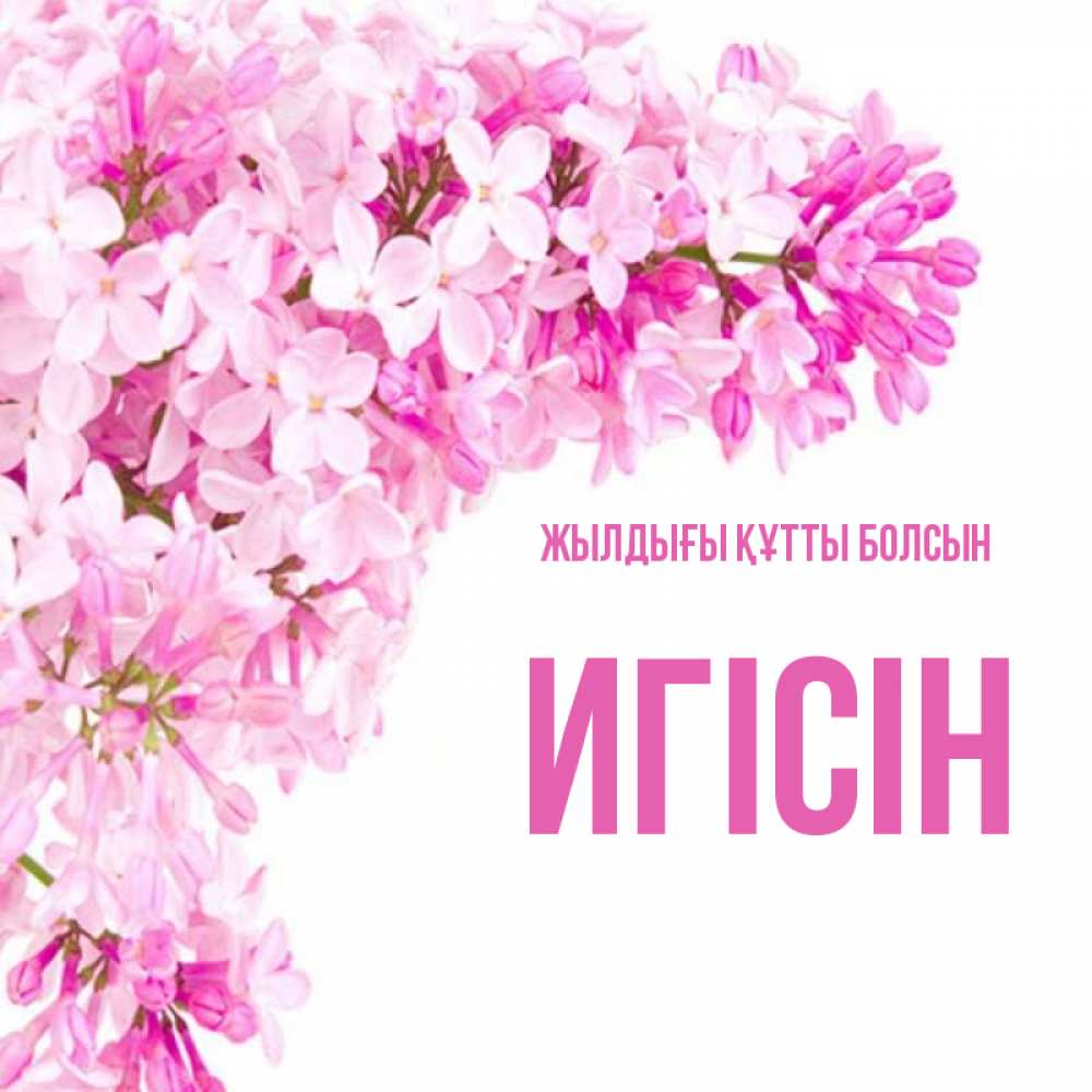 Күн сайын ашық хат с именем, Игісін Жылдығы құтты болсын Сирень на белом фоне Онлайн тегін жүктеп алу тілектері бар керемет карта 
