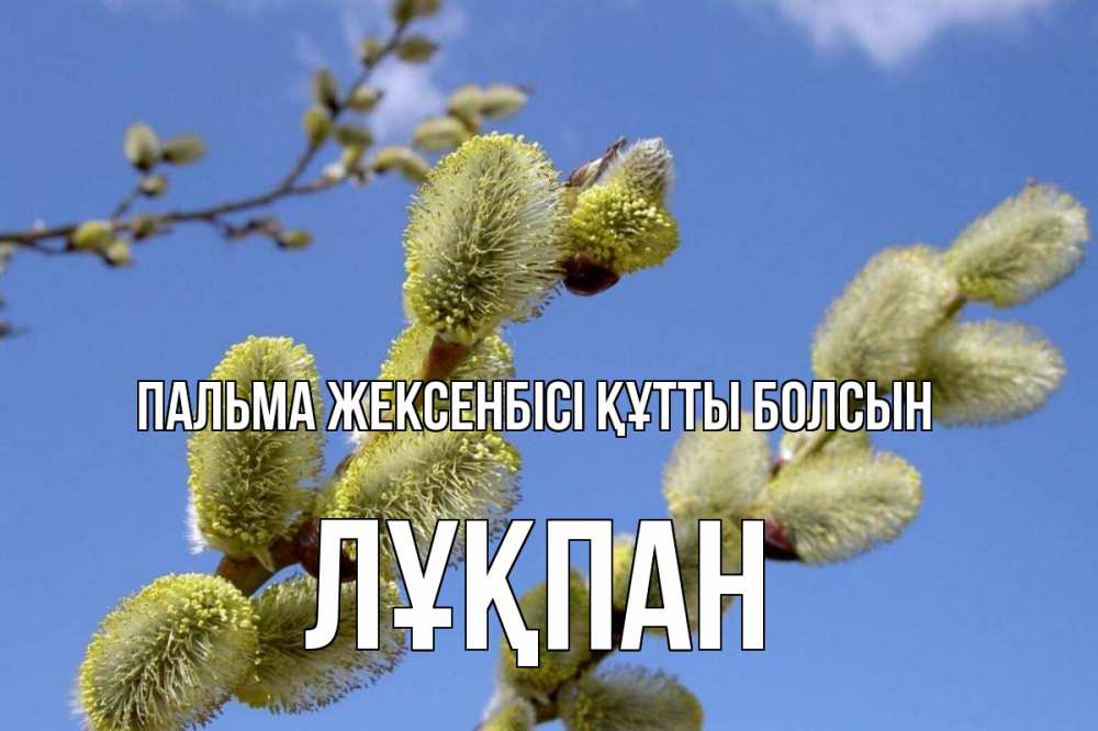 Күн сайын ашық хат с именем, ЛҰҚПАН Пальма жексенбісі құтты болсын верба Онлайн тегін жүктеп алу тілектері бар керемет карта 