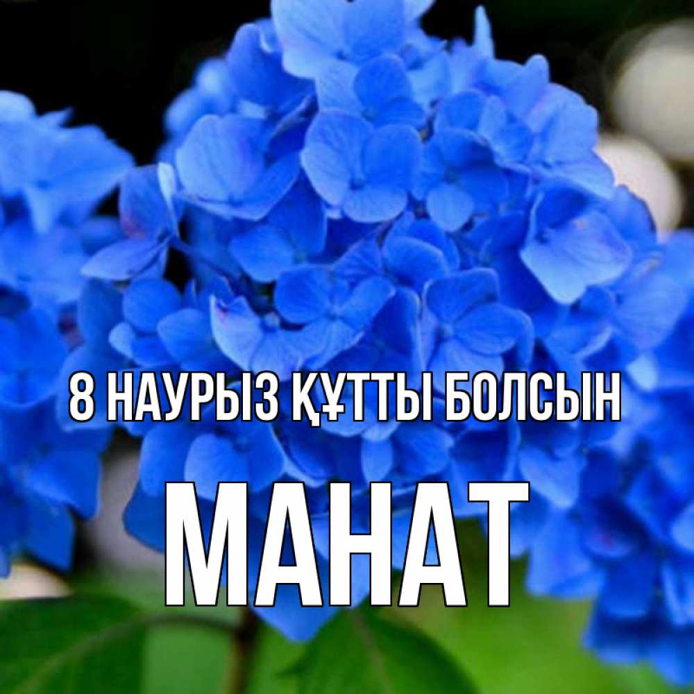 Күн сайын ашық хат с именем, МАНАТ 8 наурыз құтты болсын синие цветы Онлайн тегін жүктеп алу тілектері бар керемет карта 