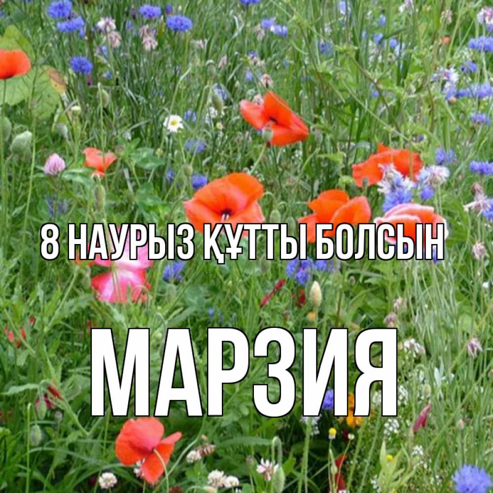 Күн сайын ашық хат с именем, МАРЗИЯ 8 наурыз құтты болсын международный женский день 4 Онлайн тегін жүктеп алу тілектері бар керемет карта 