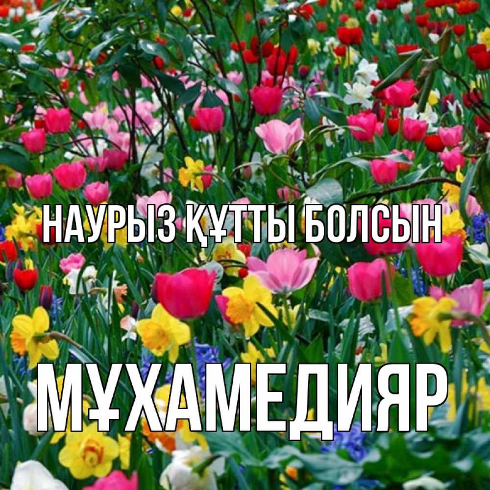 Күн сайын ашық хат с именем, МҰХАМЕДИЯР Наурыз құтты болсын с наурызом поздравления для женщины Онлайн тегін жүктеп алу тілектері бар керемет карта 
