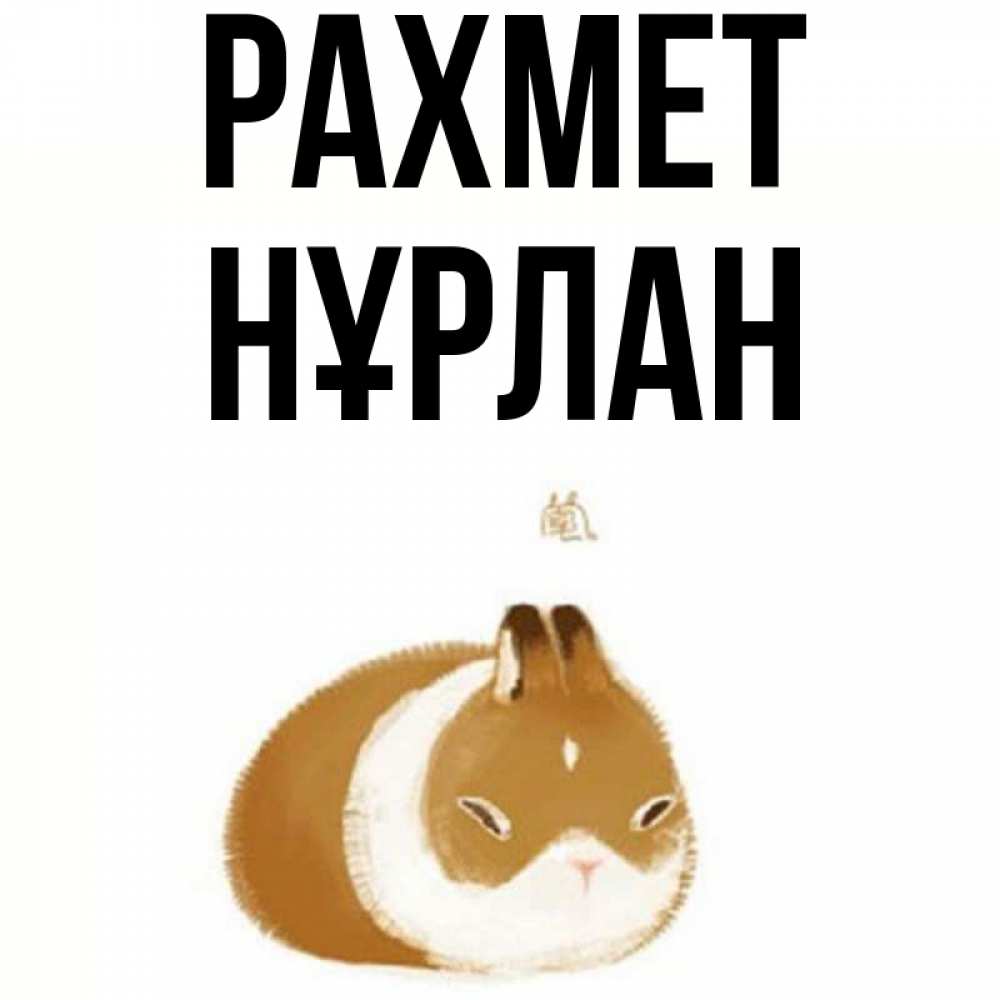 Күн сайын ашық хат с именем, НҰРЛАН рахмет коричнево белый домашний питомец Онлайн тегін жүктеп алу тілектері бар керемет карта 