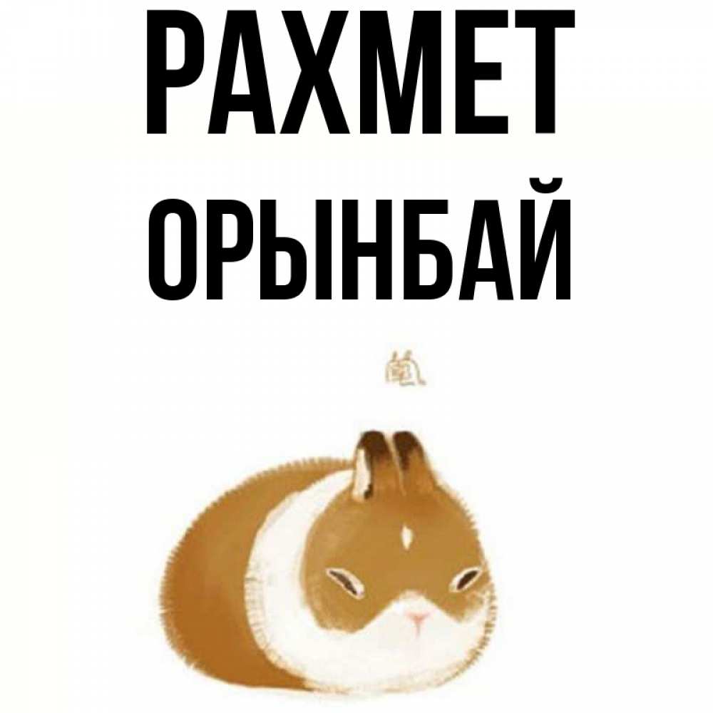 Күн сайын ашық хат с именем, ОРЫНБАЙ рахмет коричнево белый домашний питомец Онлайн тегін жүктеп алу тілектері бар керемет карта 