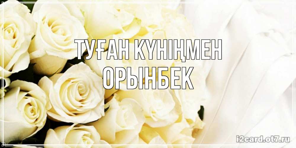 Күн сайын ашық хат с именем, ОРЫНБЕК Туған күніңмен белые розы в букете Онлайн тегін жүктеп алу тілектері бар керемет карта 