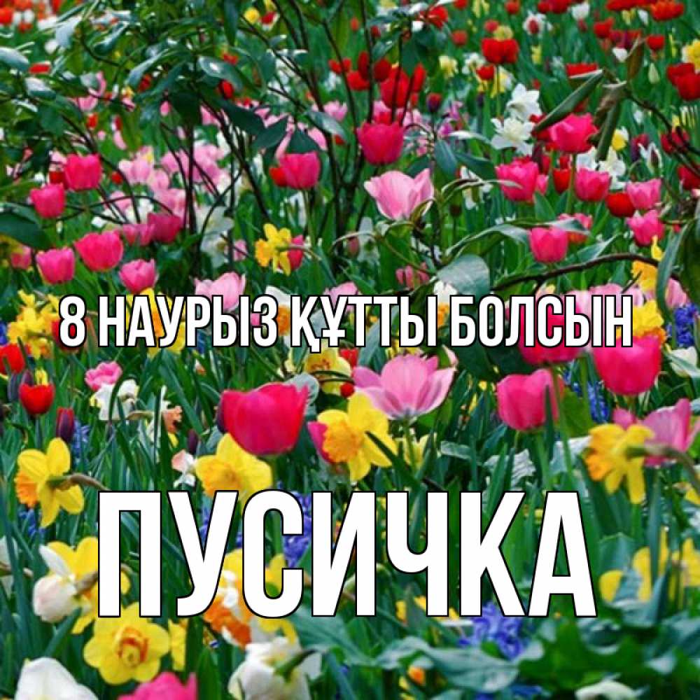 Күн сайын ашық хат с именем, Пусичка 8 наурыз құтты болсын с международным женским днем поздравления для женщины Онлайн тегін жүктеп алу тілектері бар керемет карта 