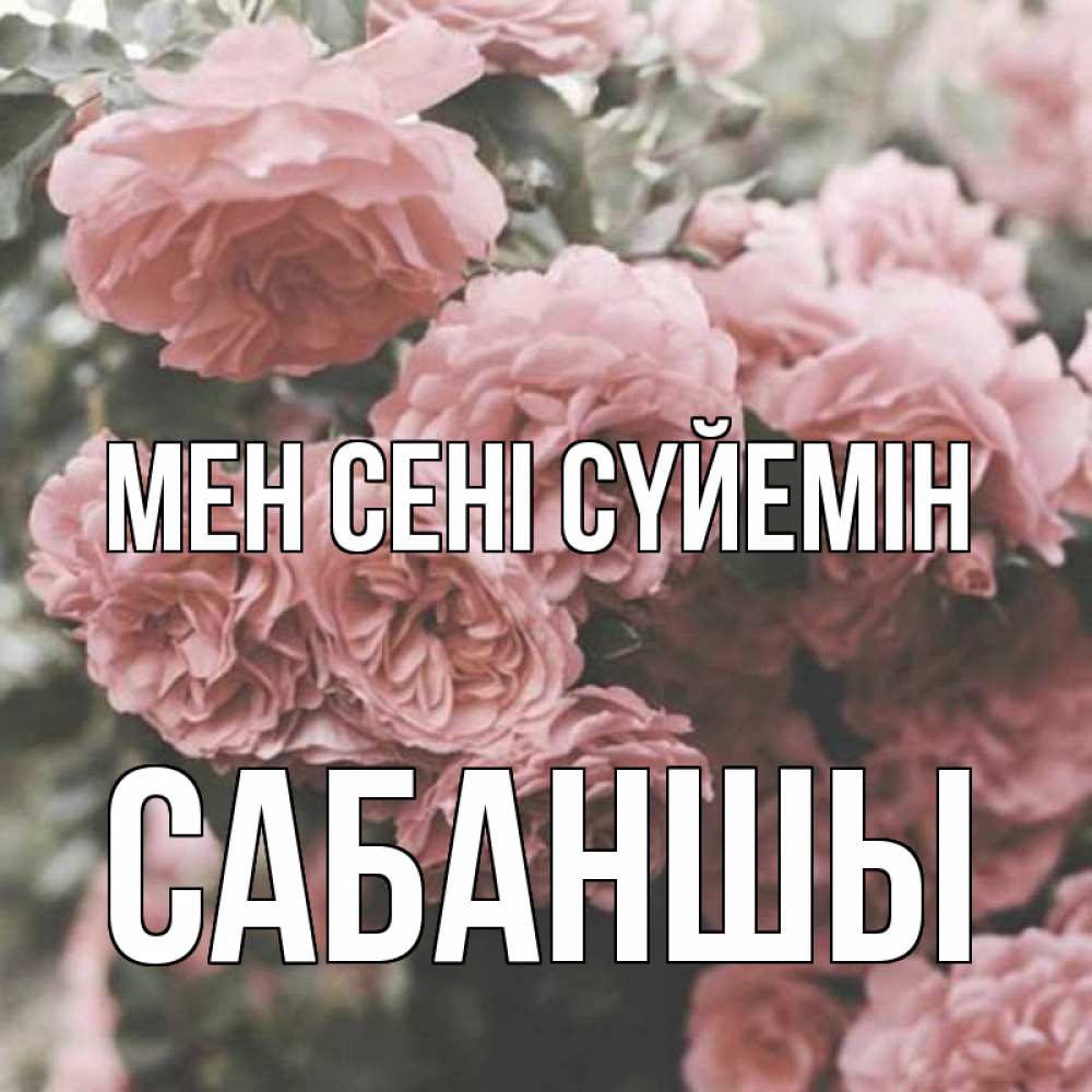 Күн сайын ашық хат с именем, САБАНШЫ Мен сені сүйемін розы 3 Онлайн тегін жүктеп алу тілектері бар керемет карта 