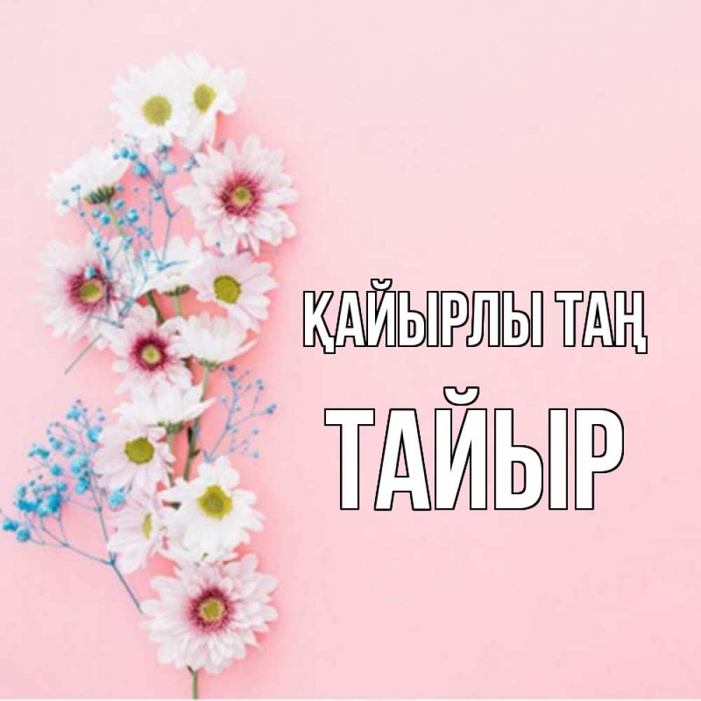 Күн сайын ашық хат с именем, ТАЙЫР Қайырлы таң цветы с подписью Онлайн тегін жүктеп алу тілектері бар керемет карта 