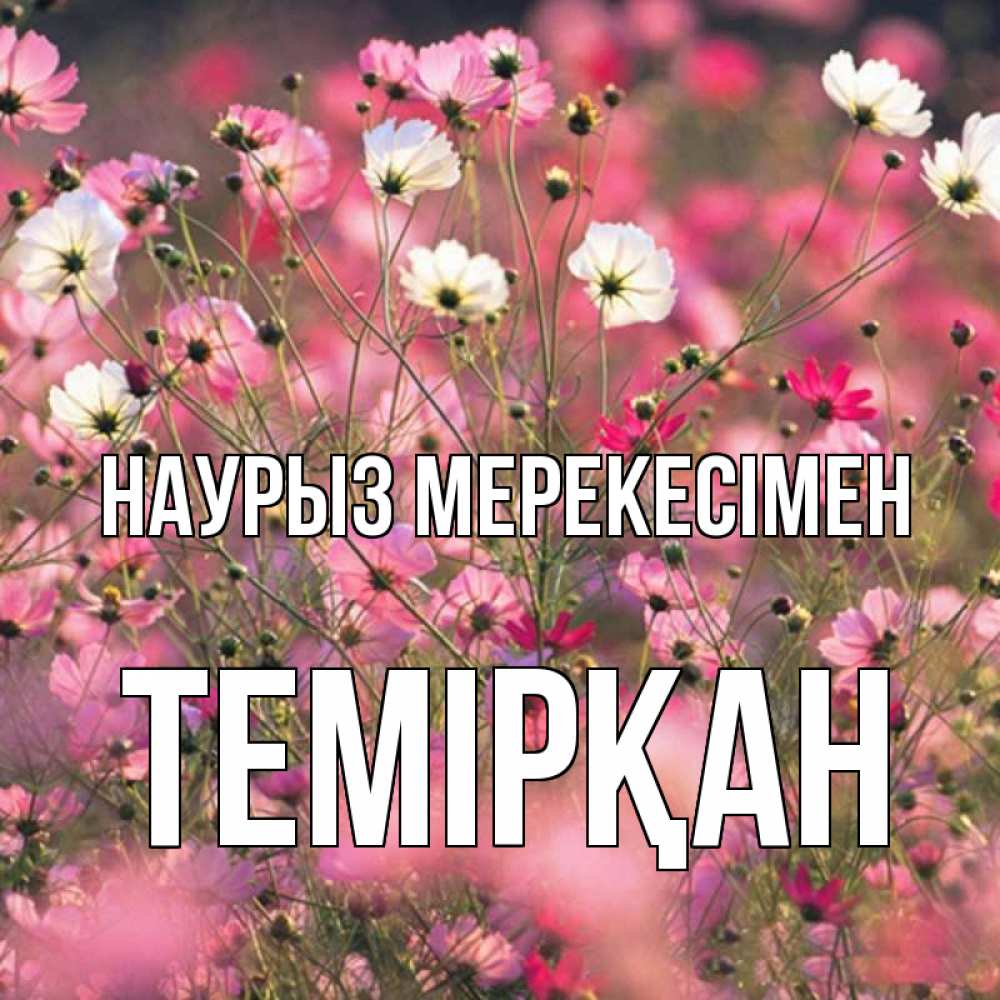 Күн сайын ашық хат с именем, ТЕМІРҚАН Наурыз мерекесімен красиво 1 Онлайн тегін жүктеп алу тілектері бар керемет карта 