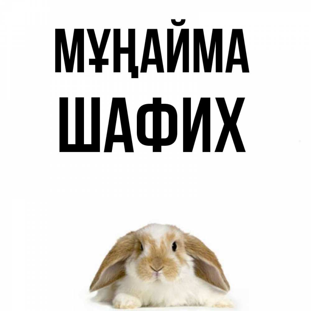 Күн сайын ашық хат с именем, ШАФИХ Мұңайма коричнево белый заяц с большими ушками Онлайн тегін жүктеп алу тілектері бар керемет карта 