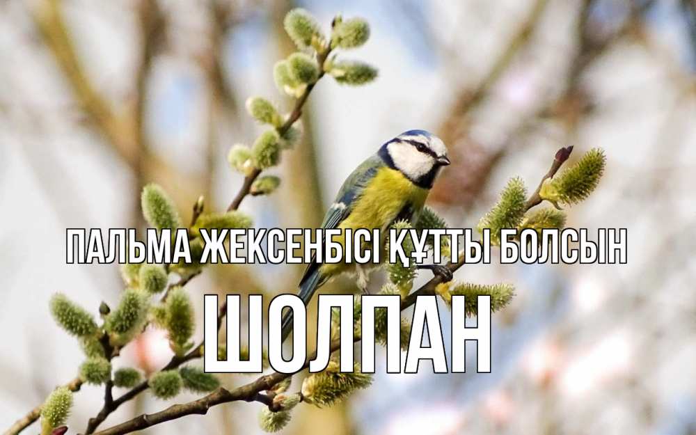 Күн сайын ашық хат с именем, ШОЛПАН Пальма жексенбісі құтты болсын верба Онлайн тегін жүктеп алу тілектері бар керемет карта 