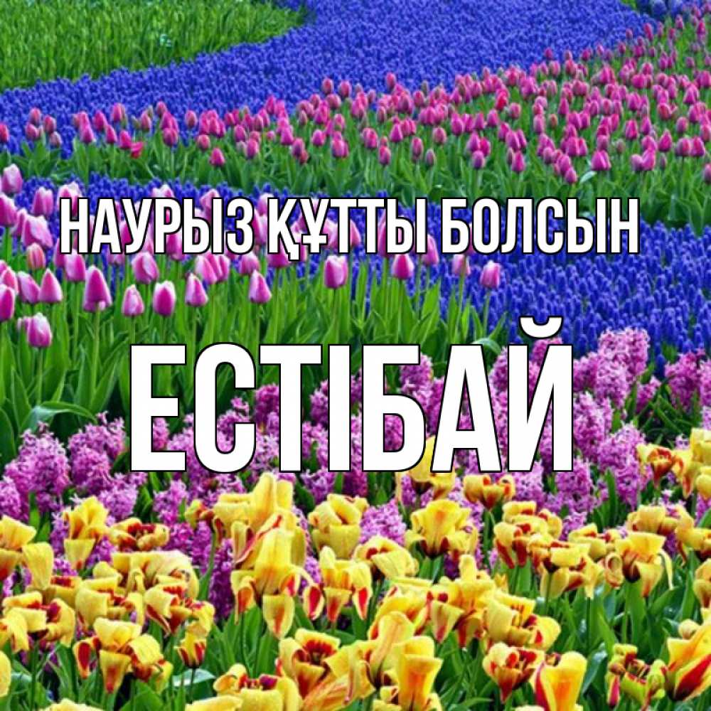 Күн сайын ашық хат с именем, Естібай Наурыз құтты болсын цветы Онлайн тегін жүктеп алу тілектері бар керемет карта 