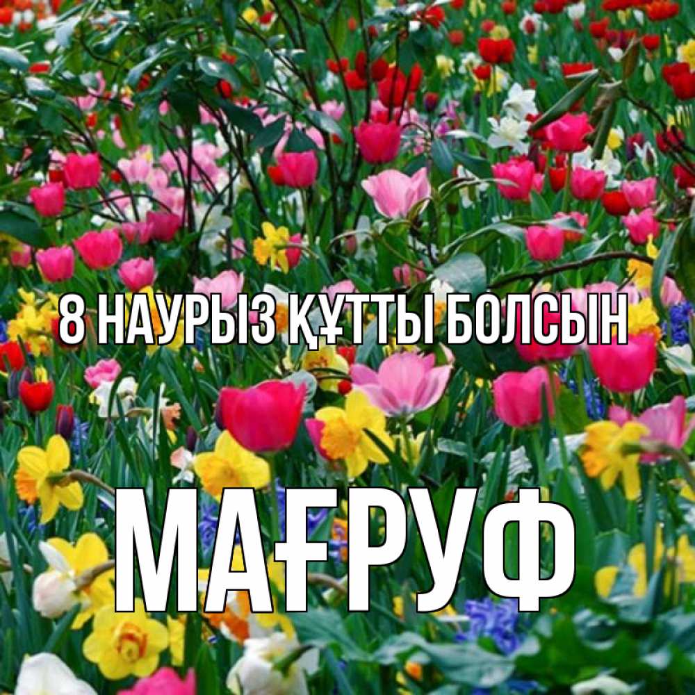 Күн сайын ашық хат с именем, МАҒРУФ 8 наурыз құтты болсын с международным женским днем поздравления для женщины Онлайн тегін жүктеп алу тілектері бар керемет карта 