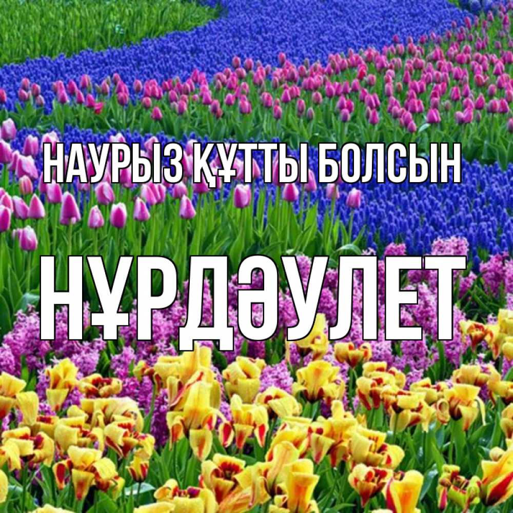 Күн сайын ашық хат с именем, НҰРДӘУЛЕТ Наурыз құтты болсын цветы Онлайн тегін жүктеп алу тілектері бар керемет карта 