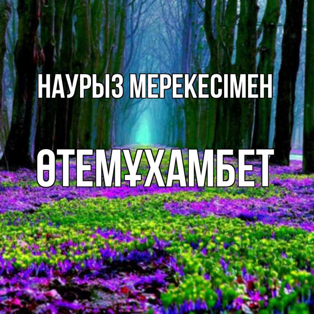 Күн сайын ашық хат с именем, ӨТЕМҰХАМБЕТ Наурыз мерекесімен фиолетовые цветы в лесу 1 Онлайн тегін жүктеп алу тілектері бар керемет карта 