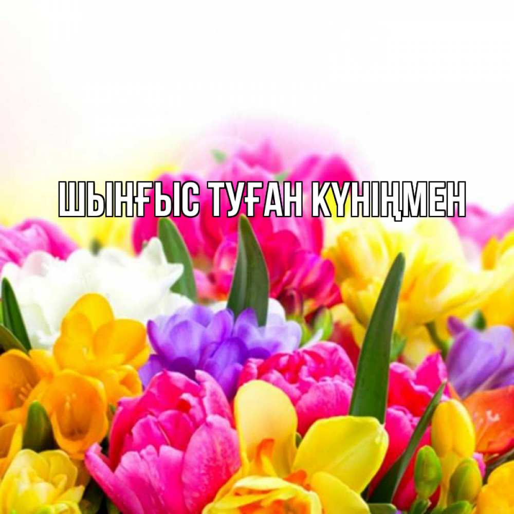 Картинка  с именем , ШЫНҒЫС! ТУҒАН КҮНІҢМЕН!