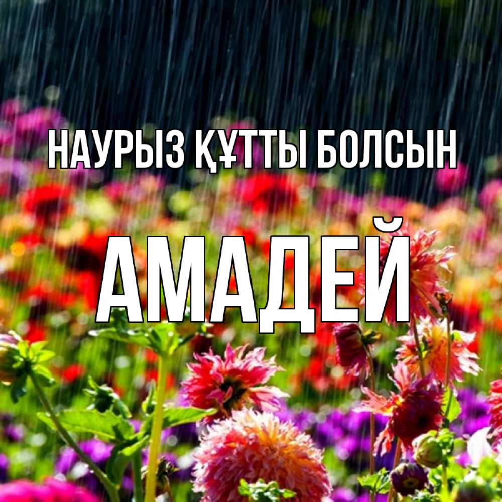 Күн сайын ашық хат с именем, Амадей Наурыз құтты болсын цветы под дождиком к наурызу Онлайн тегін жүктеп алу тілектері бар керемет карта 