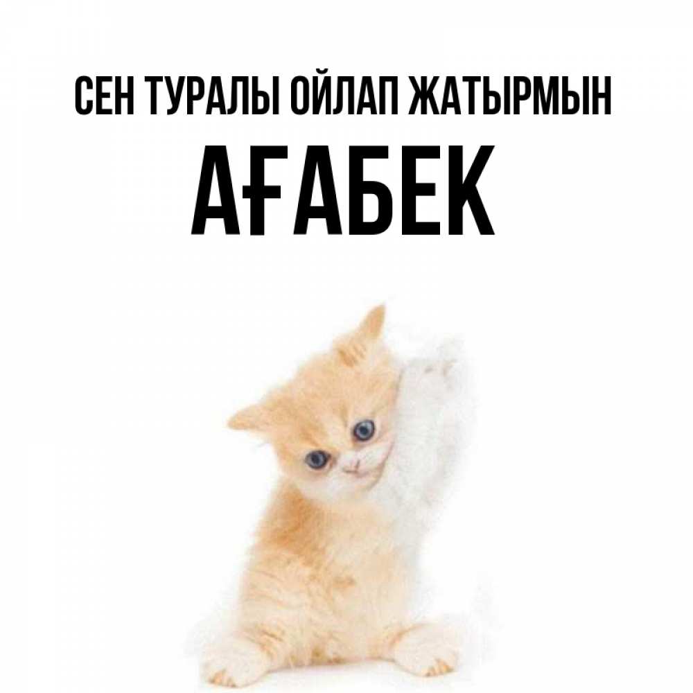 Күн сайын ашық хат с именем, Ағабек Сен туралы ойлап жатырмын зверушки и милота Онлайн тегін жүктеп алу тілектері бар керемет карта 