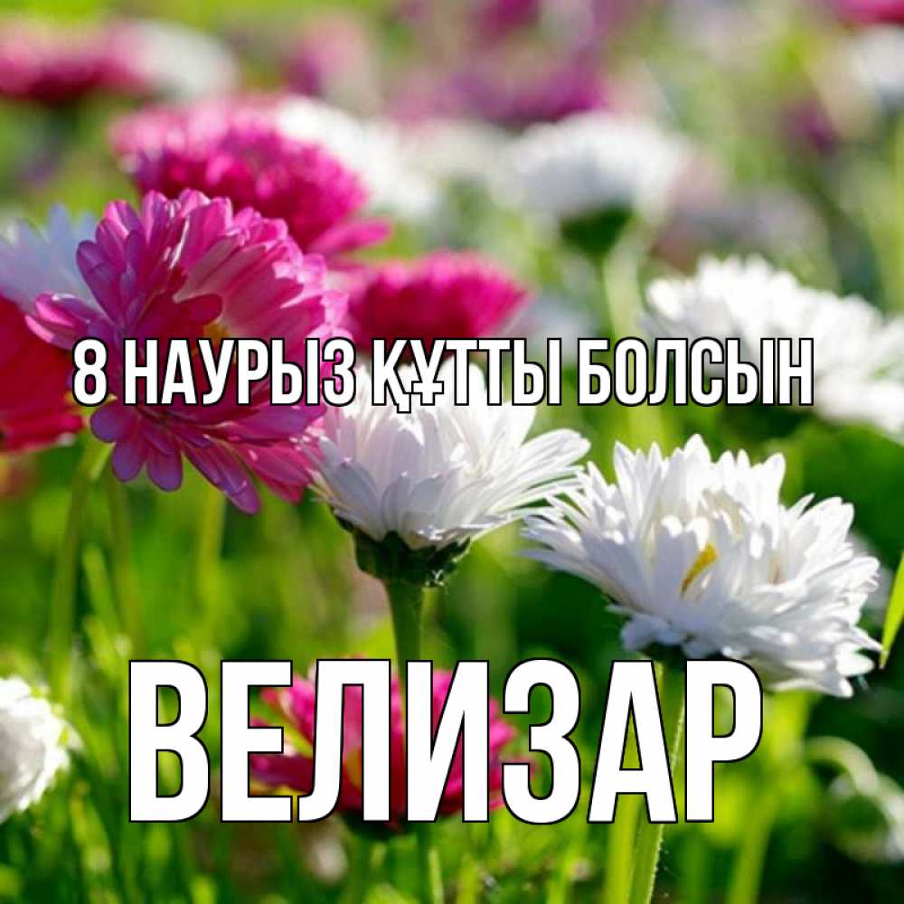 Күн сайын ашық хат с именем, Велизар 8 наурыз құтты болсын международный женский день 1 Онлайн тегін жүктеп алу тілектері бар керемет карта 