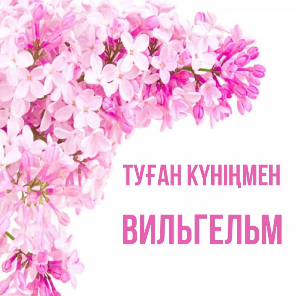 Күн сайын ашық хат с именем, Вильгельм Туған күніңмен Сирень на белом фоне Онлайн тегін жүктеп алу тілектері бар керемет карта 