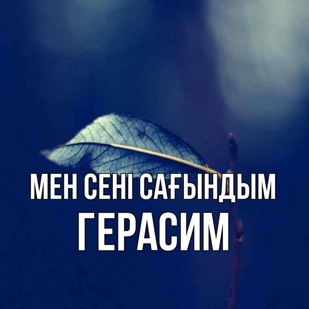 Күн сайын ашық хат с именем, Герасим Мен сені сағындым одна ветка 1 Онлайн тегін жүктеп алу тілектері бар керемет карта 