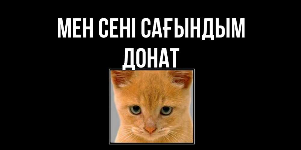 Күн сайын ашық хат с именем, Донат Мен сені сағындым открытки рыжий котенок скучает по тебе Онлайн тегін жүктеп алу тілектері бар керемет карта 