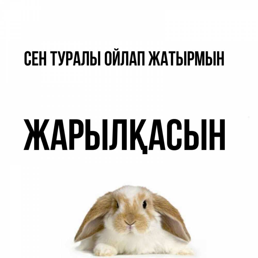 Күн сайын ашық хат с именем, Жарылқасын Сен туралы ойлап жатырмын подписать своими руками онлайн Онлайн тегін жүктеп алу тілектері бар керемет карта 