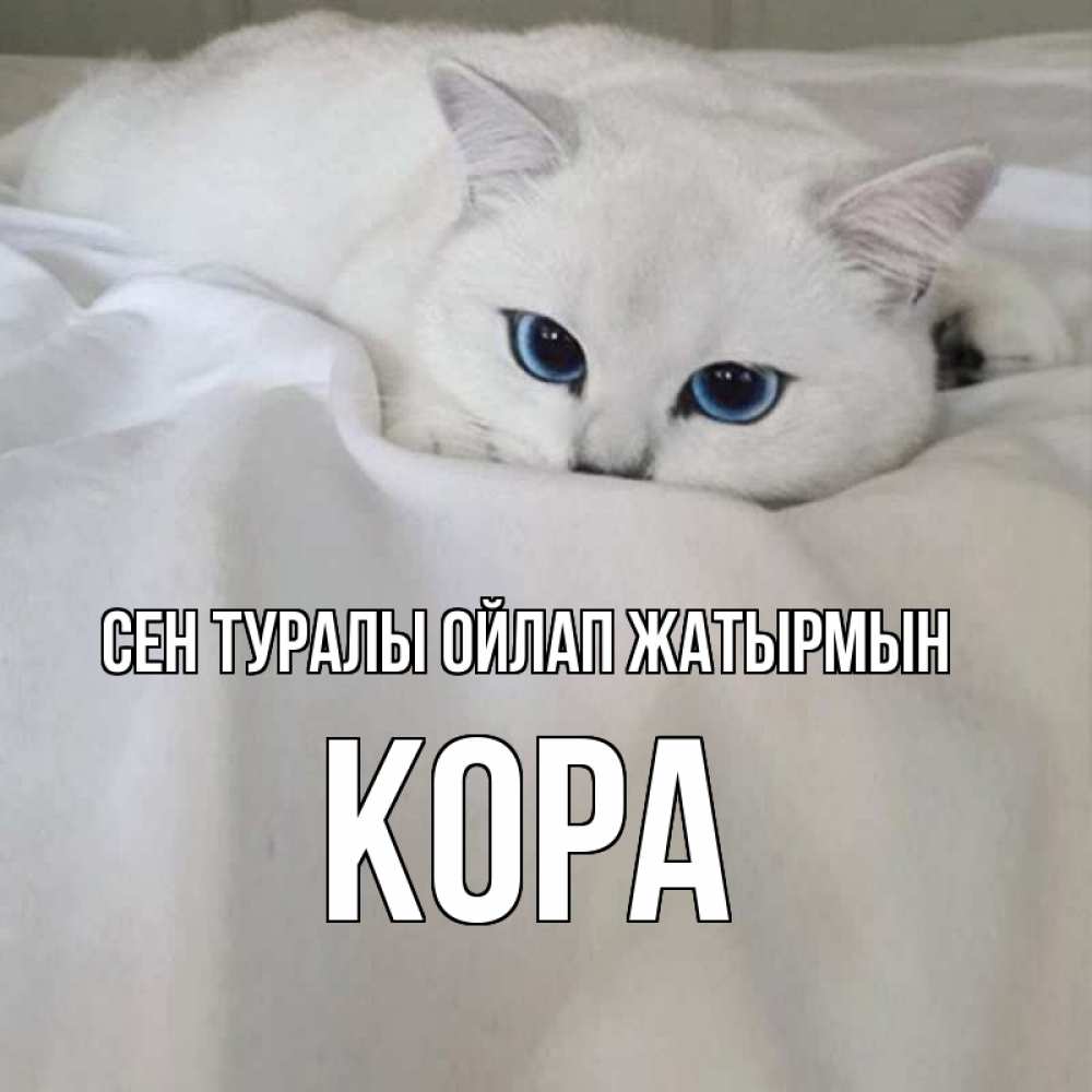 Күн сайын ашық хат с именем, Кора Сен туралы ойлап жатырмын я очень по тебе скучаю и тоскую Онлайн тегін жүктеп алу тілектері бар керемет карта 