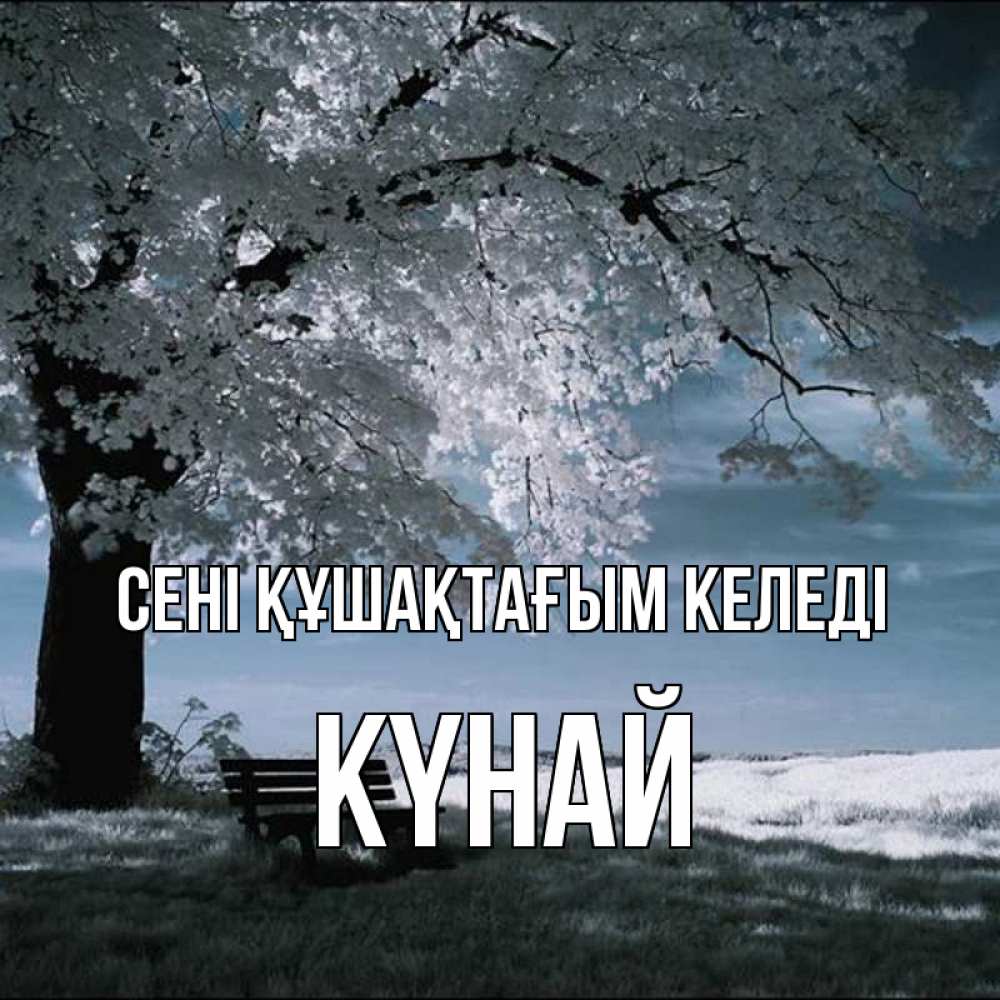 Күн сайын ашық хат с именем, КҮНАЙ сені құшақтағым келеді дерево Онлайн тегін жүктеп алу тілектері бар керемет карта 