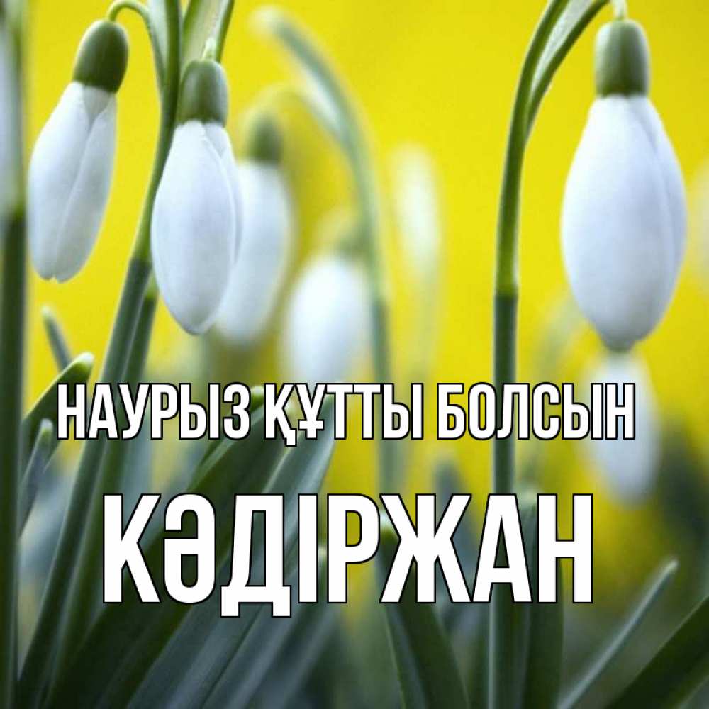 Күн сайын ашық хат с именем, Кәдіржан Наурыз құтты болсын весенние цветы Онлайн тегін жүктеп алу тілектері бар керемет карта 