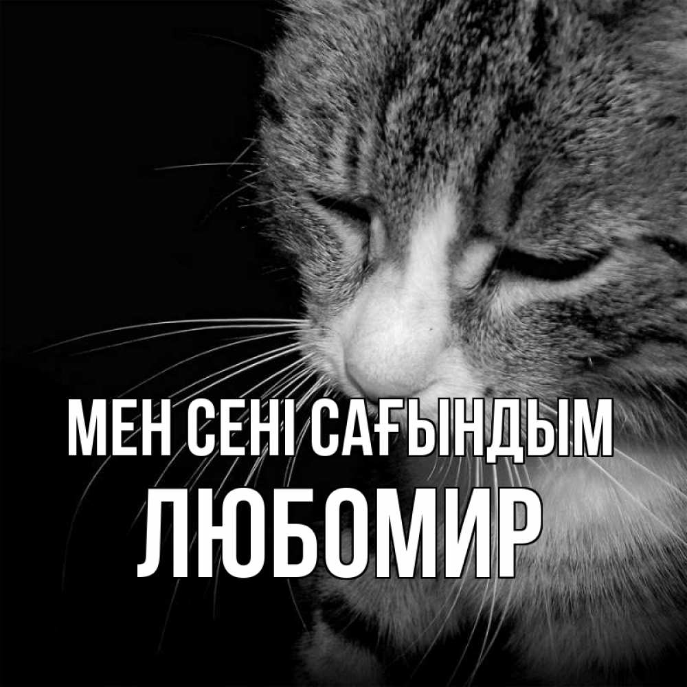 Күн сайын ашық хат с именем, Любомир Мен сені сағындым мне скучно Онлайн тегін жүктеп алу тілектері бар керемет карта 