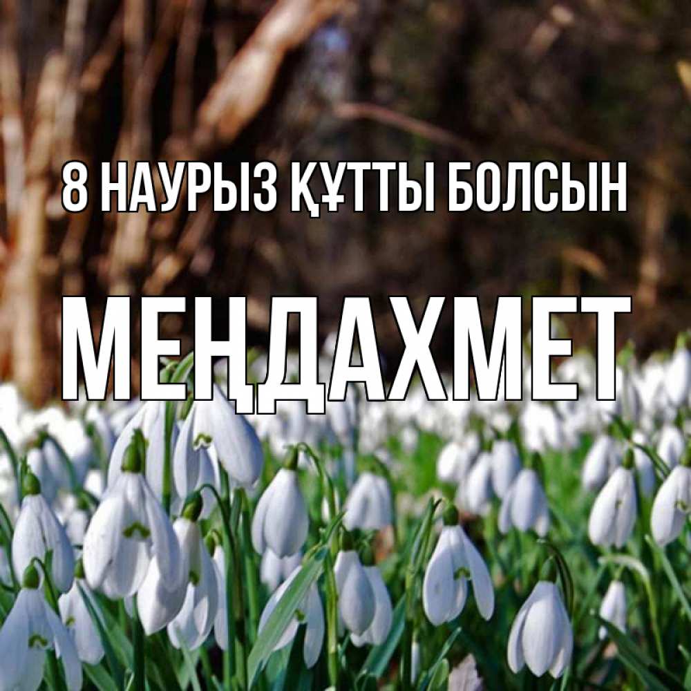 Күн сайын ашық хат с именем, МЕҢДАХМЕТ 8 наурыз құтты болсын с подснежниками 1 Онлайн тегін жүктеп алу тілектері бар керемет карта 
