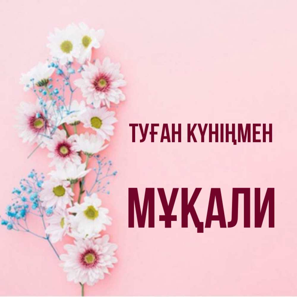 Күн сайын ашық хат с именем, МҰҚАЛИ Туған күніңмен Родная моя с днем рождения тебя картинка с цветами белыми и голубыми Онлайн тегін жүктеп алу тілектері бар керемет карта 