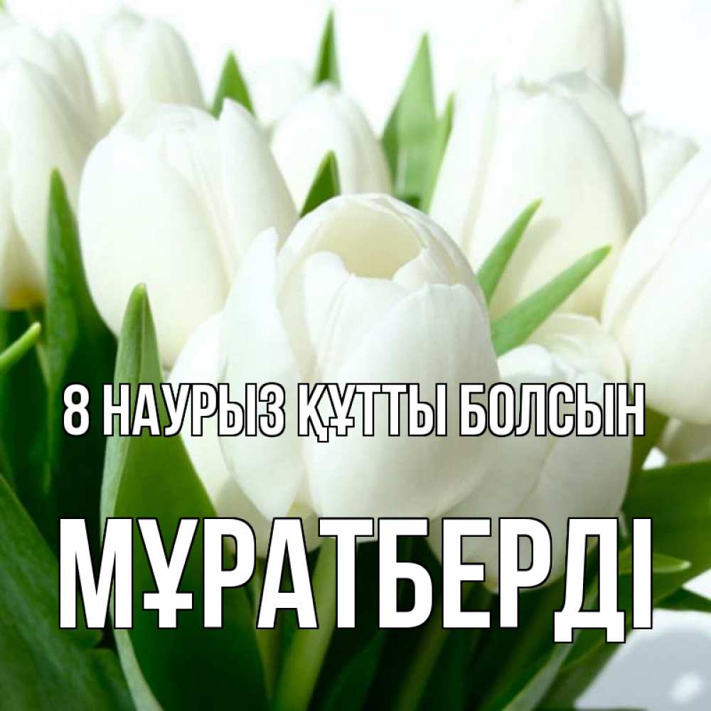 Күн сайын ашық хат с именем, Мұратберді 8 наурыз құтты болсын цветы Онлайн тегін жүктеп алу тілектері бар керемет карта 