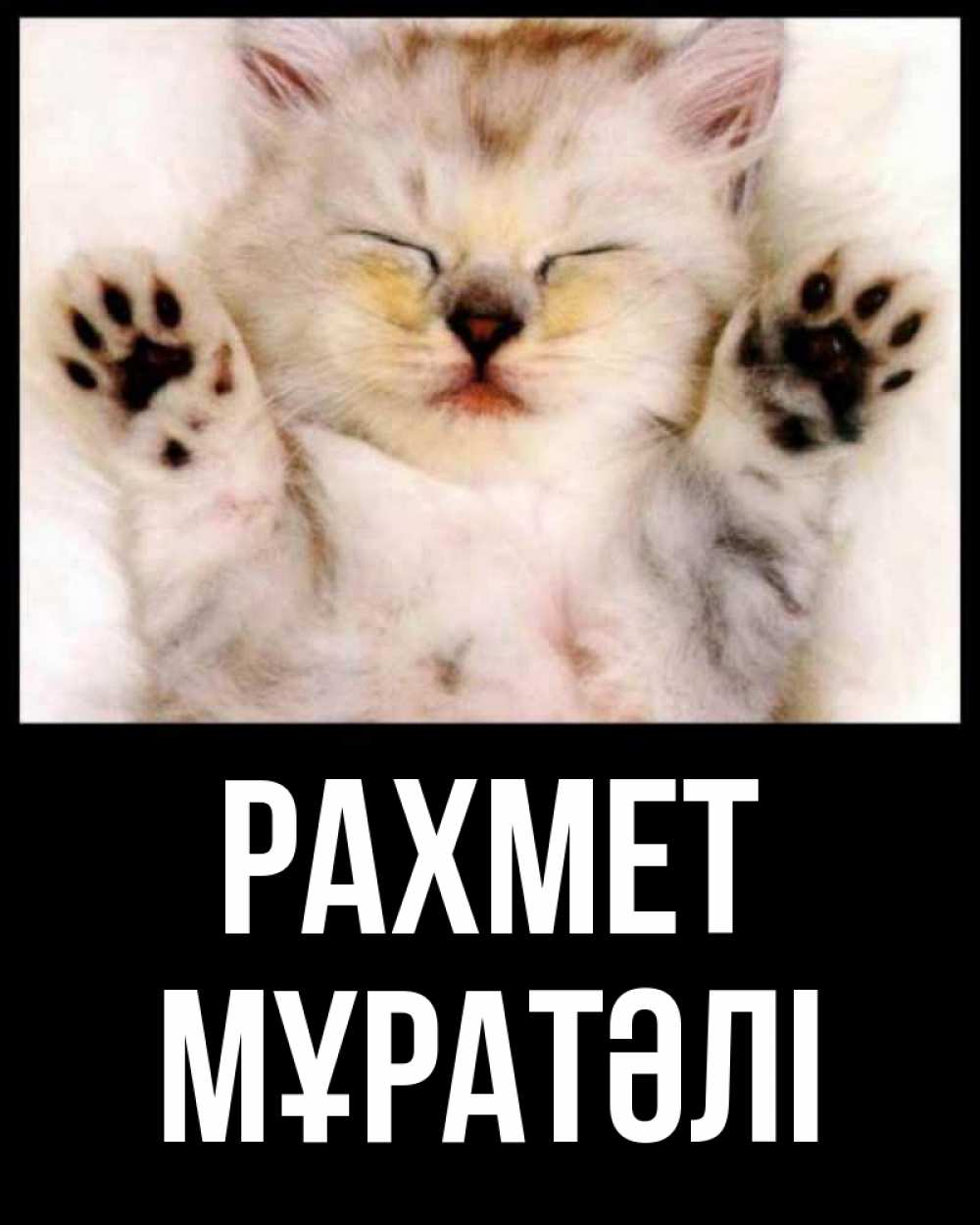 Күн сайын ашық хат с именем, Мұратәлі рахмет маленький котенок Онлайн тегін жүктеп алу тілектері бар керемет карта 