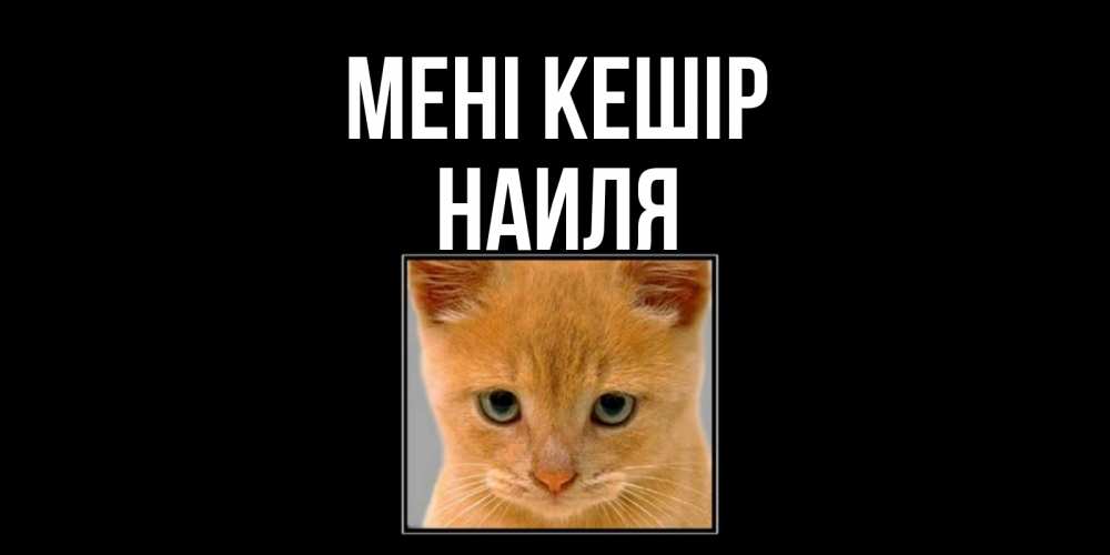 Күн сайын ашық хат с именем, Наиля Мені кешір рыжий грустный кот просит прощения Онлайн тегін жүктеп алу тілектері бар керемет карта 