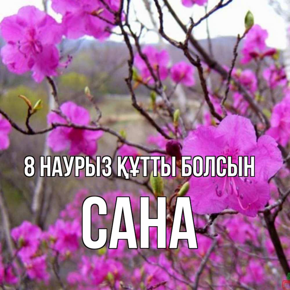 Күн сайын ашық хат с именем, САНА 8 наурыз құтты болсын международный женский день Онлайн тегін жүктеп алу тілектері бар керемет карта 