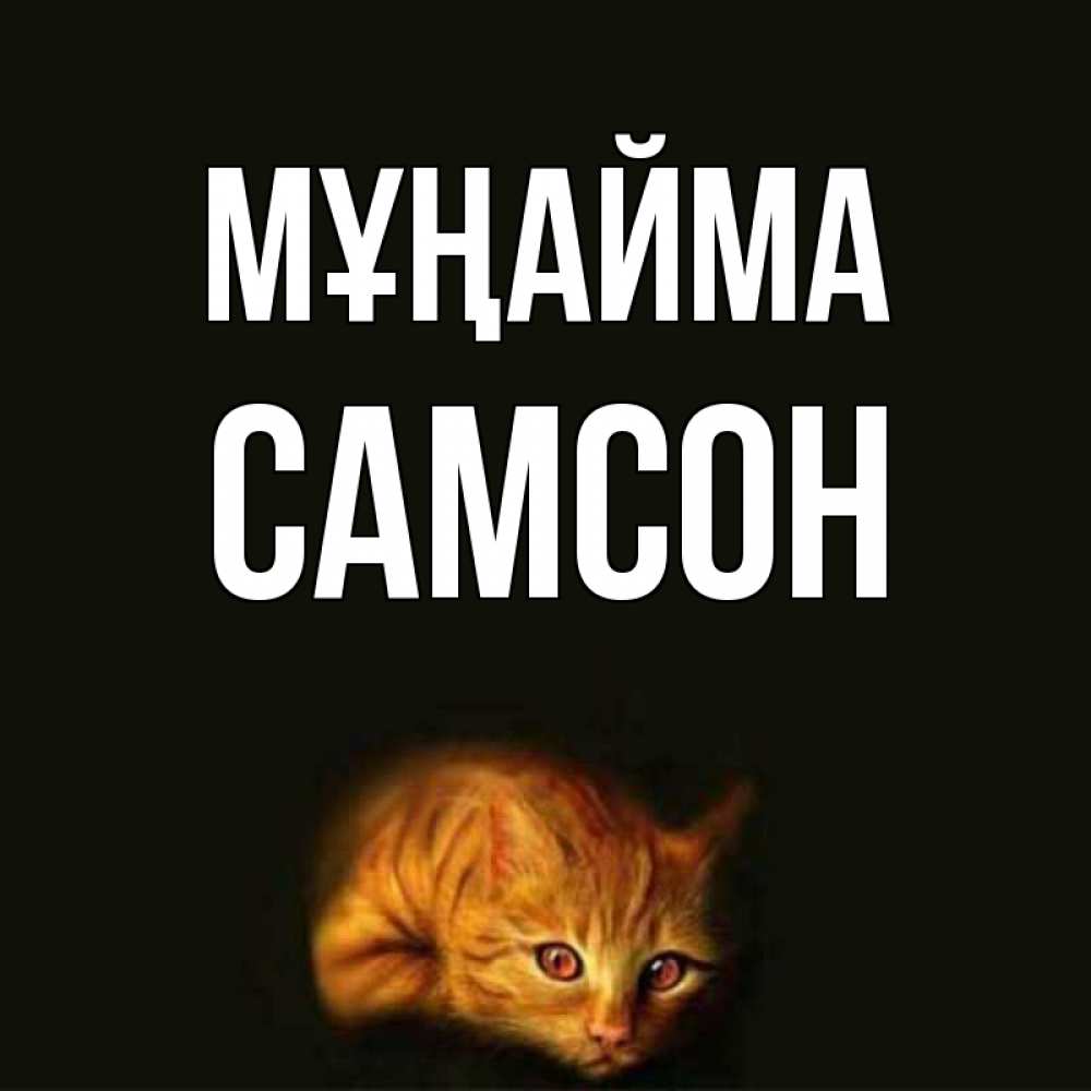 Күн сайын ашық хат с именем, Самсон Мұңайма лежащий кот в темноте Онлайн тегін жүктеп алу тілектері бар керемет карта 