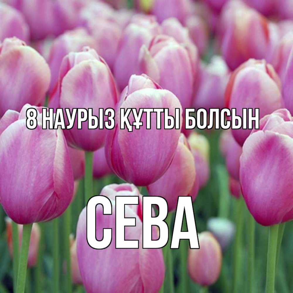 Күн сайын ашық хат с именем, Сева 8 наурыз құтты болсын на международный женский день 3 Онлайн тегін жүктеп алу тілектері бар керемет карта 