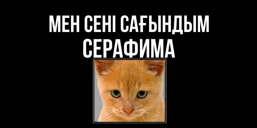 Күн сайын ашық хат с именем, Серафима Мен сені сағындым открытки рыжий котенок скучает по тебе Онлайн тегін жүктеп алу тілектері бар керемет карта 