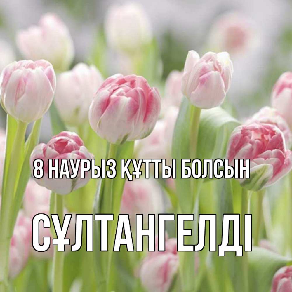 Күн сайын ашық хат с именем, СҰЛТАНГЕЛДІ 8 наурыз құтты болсын цветы Онлайн тегін жүктеп алу тілектері бар керемет карта 