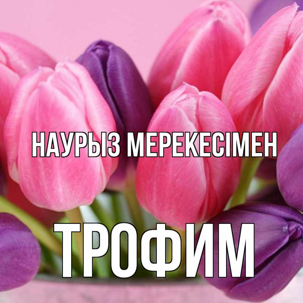 Күн сайын ашық хат с именем, Трофим Наурыз мерекесімен маме 1 Онлайн тегін жүктеп алу тілектері бар керемет карта 