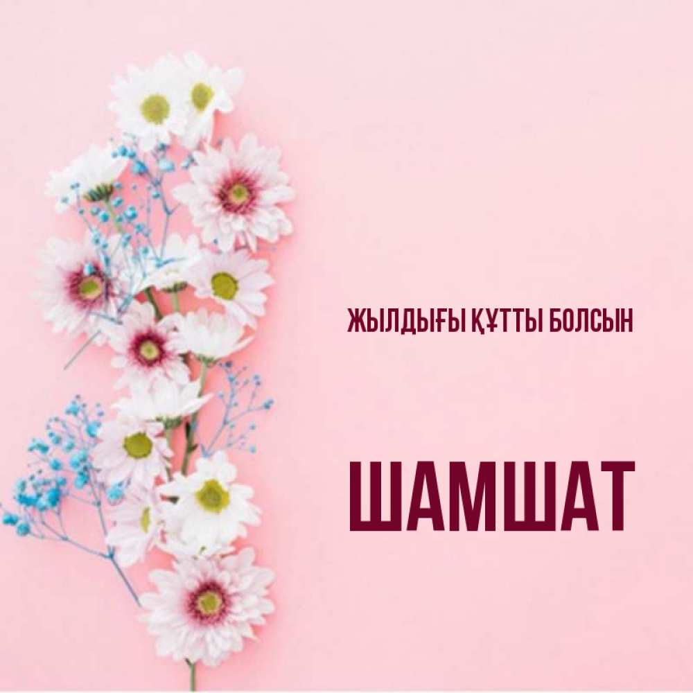 Күн сайын ашық хат с именем, ШАМШАТ Жылдығы құтты болсын Родная моя с днем рождения тебя картинка с цветами белыми и голубыми Онлайн тегін жүктеп алу тілектері бар керемет карта 