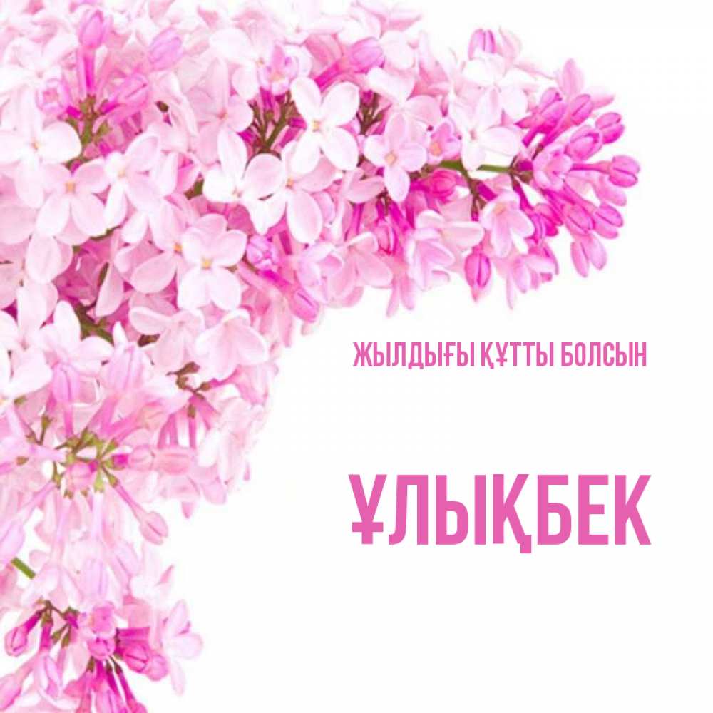 Күн сайын ашық хат с именем, ҰЛЫҚБЕК Жылдығы құтты болсын Сирень на белом фоне Онлайн тегін жүктеп алу тілектері бар керемет карта 