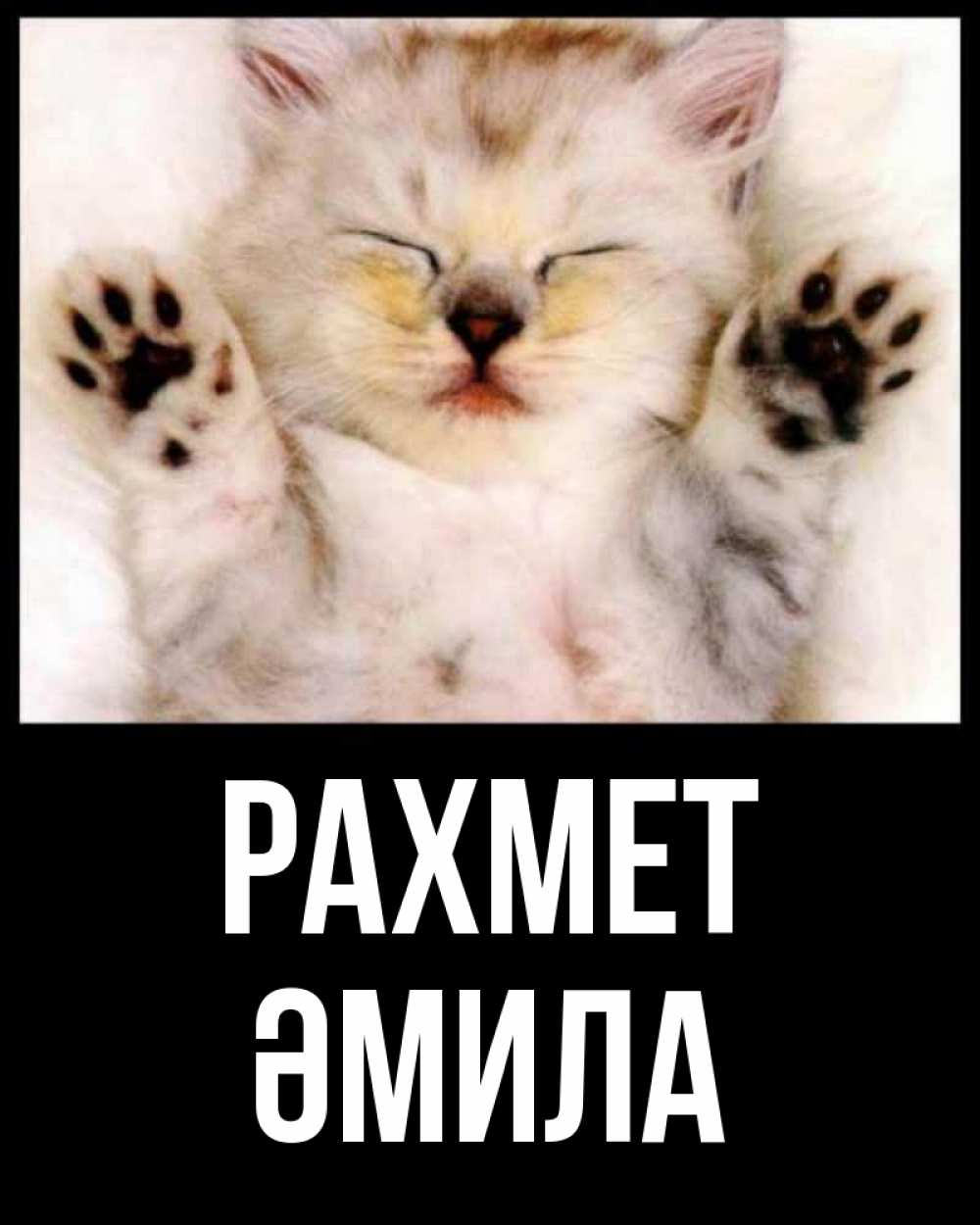 Күн сайын ашық хат с именем, ӘМИЛА рахмет маленький котенок Онлайн тегін жүктеп алу тілектері бар керемет карта 