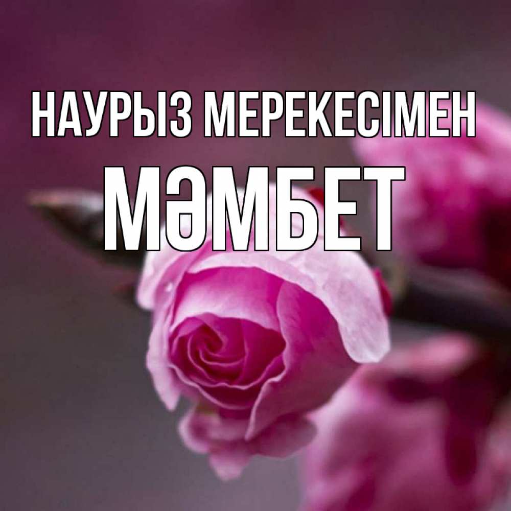 Күн сайын ашық хат с именем, МӘМБЕТ Наурыз мерекесімен весна Онлайн тегін жүктеп алу тілектері бар керемет карта 