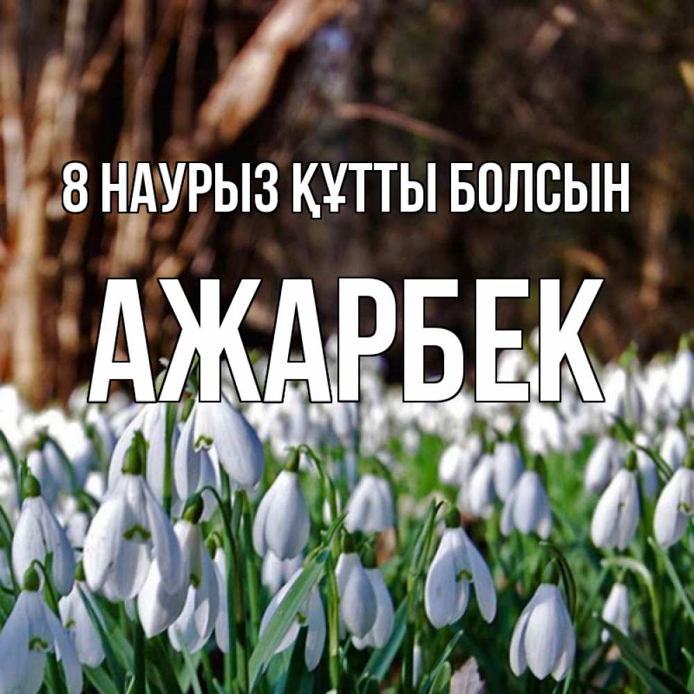 Күн сайын ашық хат с именем, Ажарбек 8 наурыз құтты болсын с подснежниками 1 Онлайн тегін жүктеп алу тілектері бар керемет карта 