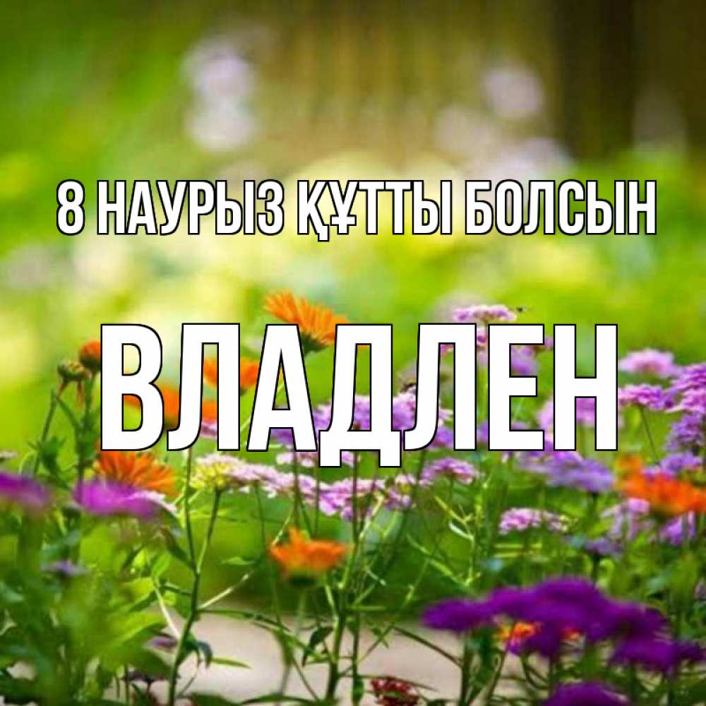 Күн сайын ашық хат с именем, Владлен 8 наурыз құтты болсын цветы Онлайн тегін жүктеп алу тілектері бар керемет карта 