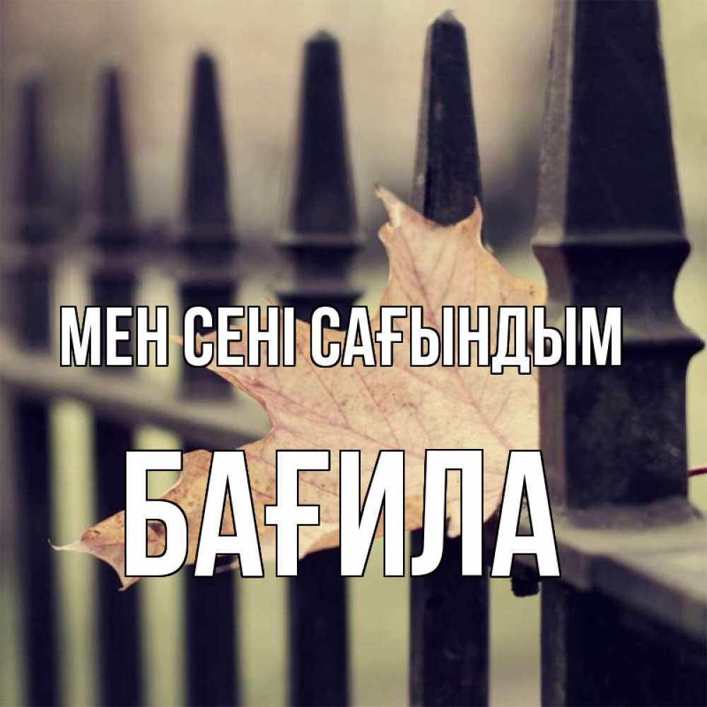 Күн сайын ашық хат с именем, БАҒИЛА Мен сені сағындым очень скучно Онлайн тегін жүктеп алу тілектері бар керемет карта 