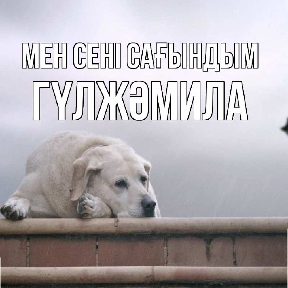 Күн сайын ашық хат с именем, ГҮЛЖӘМИЛА Мен сені сағындым ждет Онлайн тегін жүктеп алу тілектері бар керемет карта 