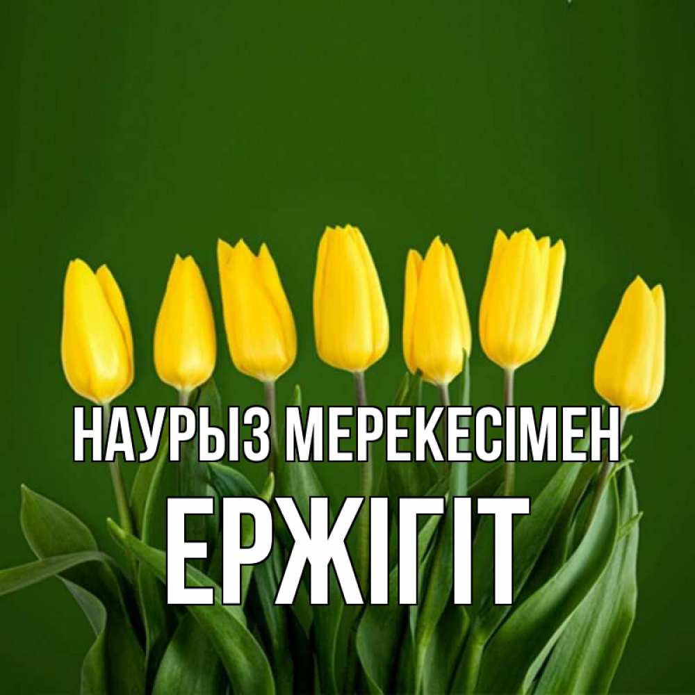 Күн сайын ашық хат с именем, Ержігіт Наурыз мерекесімен желтого цвета 3 Онлайн тегін жүктеп алу тілектері бар керемет карта 